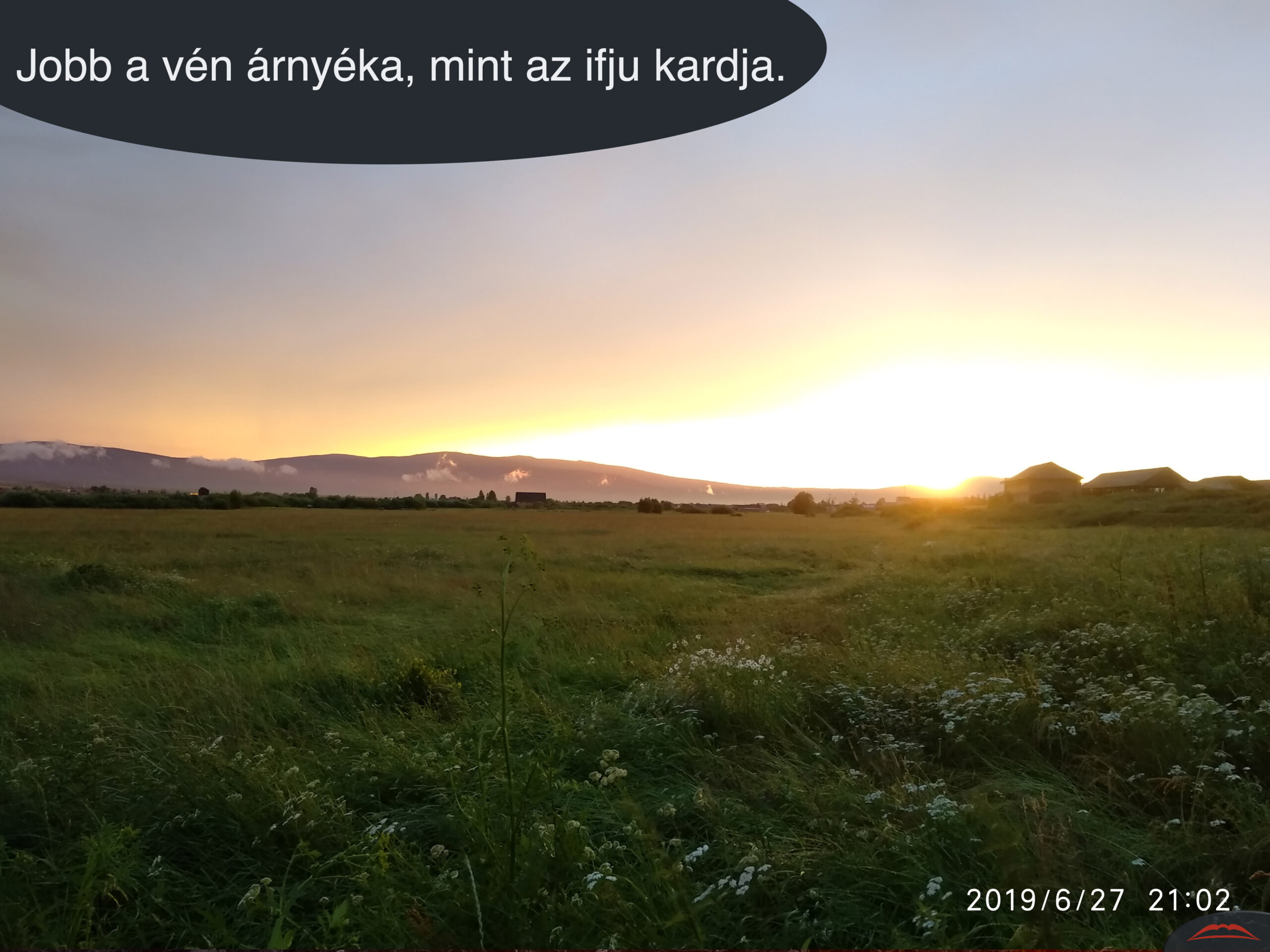 Jobb a vén árnyéka, mint az ifju kardja.