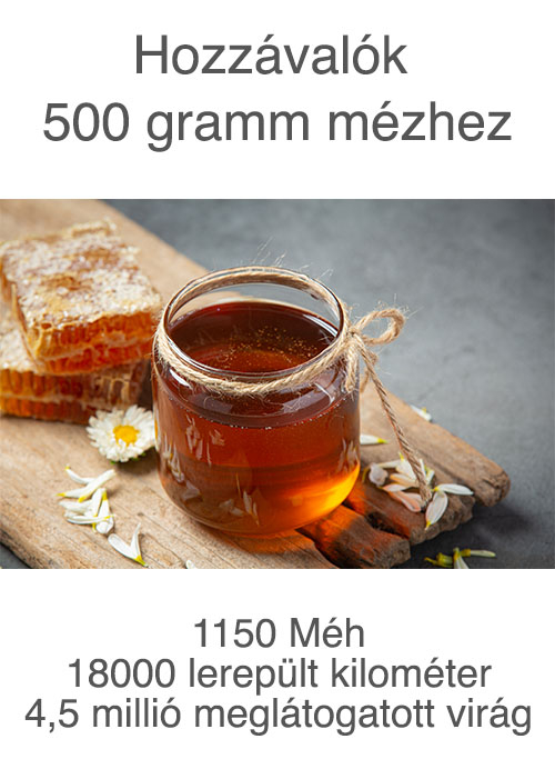 Image by jcomp on Freepik