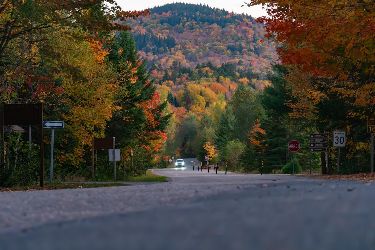 Miért kellene egyszer autóstoppal utazni Erdélyben?