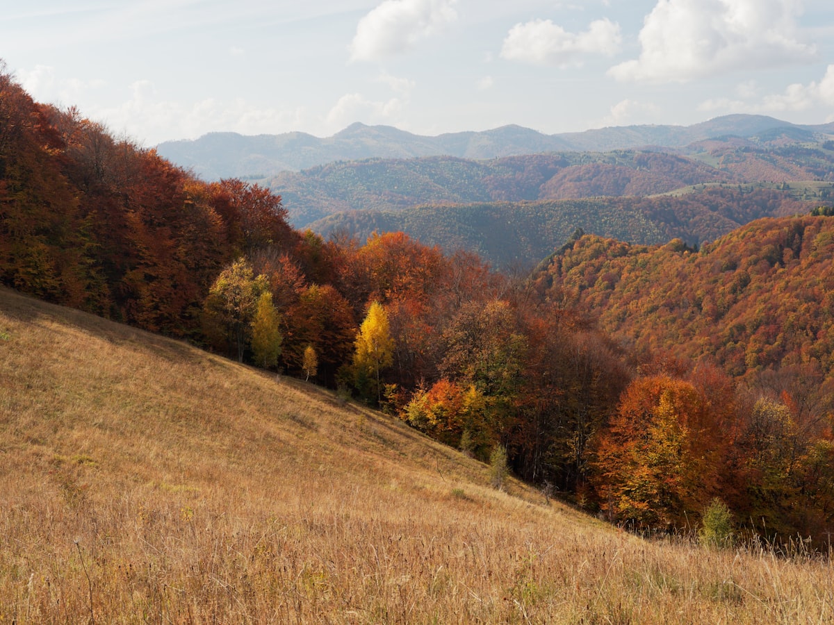 Miért az őszben utaznak a legboldogabbak?