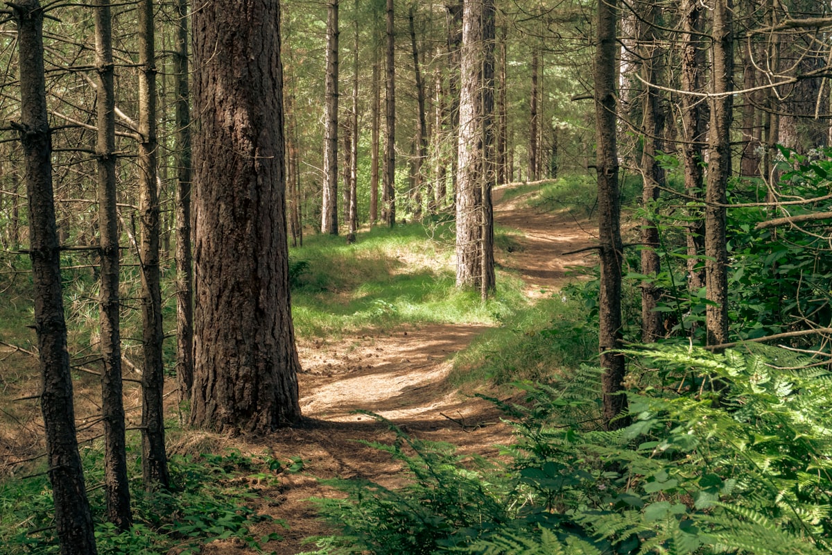 Miért jó egyedül sétálni? Meglepő válaszok