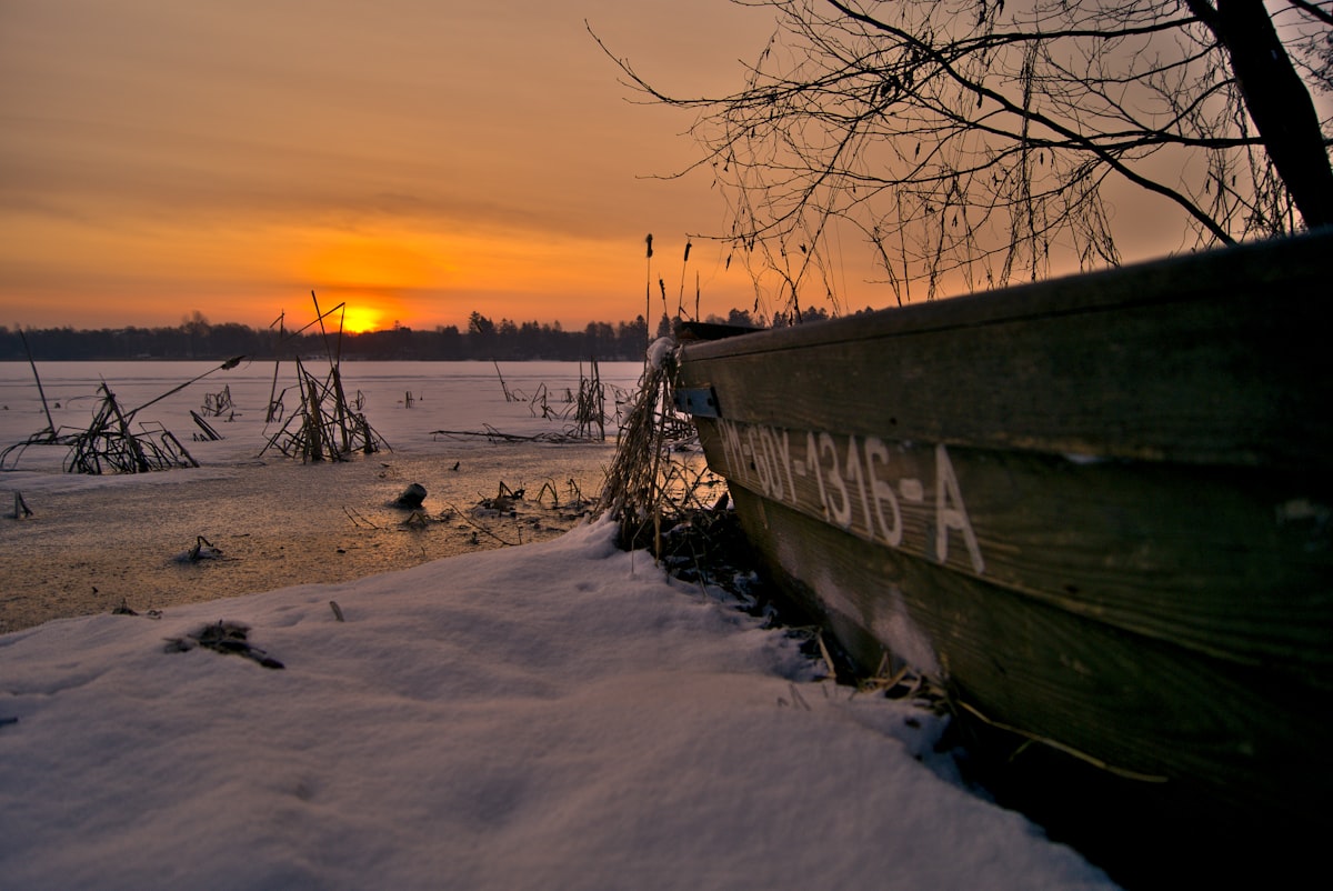 Miért a reggeli séta a legjobb gyógyszer?