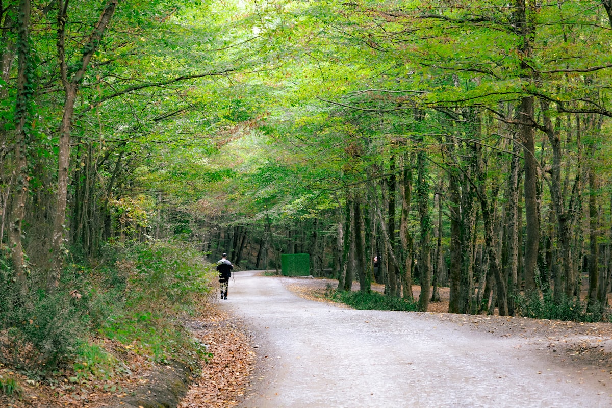 Miért jó a sétálás? Pedig olyan egyszerű!