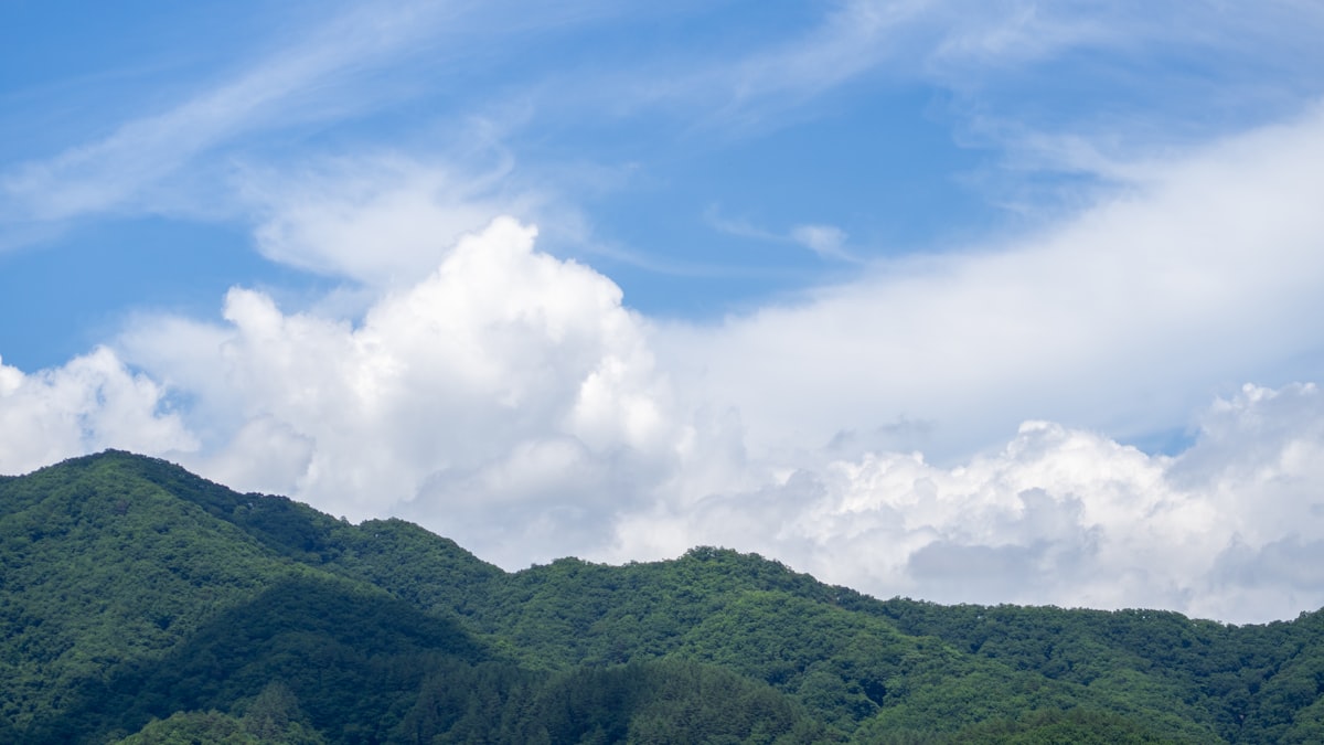 Miért érdemes nyáron a hegyekbe menni? Egy titkos ok…